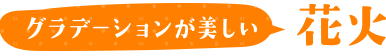 グラデーションが美しい 花火